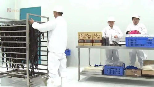 推動綠色生產(chǎn) 引領綠色消費——甘孜州綠色食品飲料產(chǎn)業(yè)的高質(zhì)量發(fā)展之路